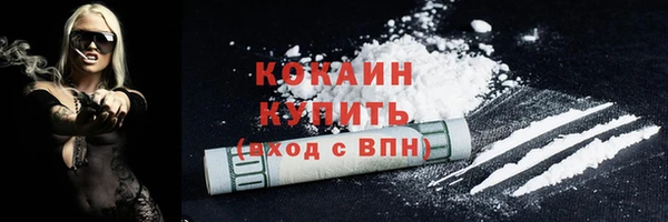 прущая мука Дмитриев