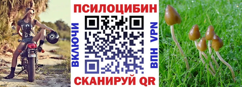Галлюциногенные грибы Cubensis Купить закладки Прокопьевск